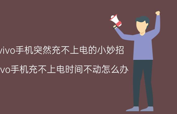 vivo手机突然充不上电的小妙招 vivo手机充不上电时间不动怎么办？